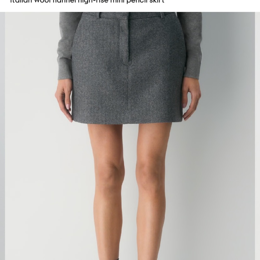 Aritzia chisel skirt 2